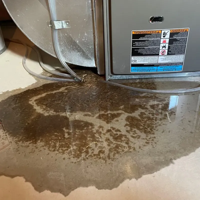 Pipe Burst and Leak Restoration in Ferdinand, IN