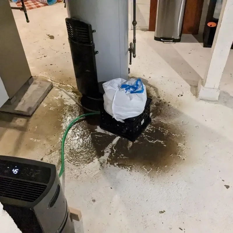 Sewage Backup Cleanup Service in Ferdinand, IN